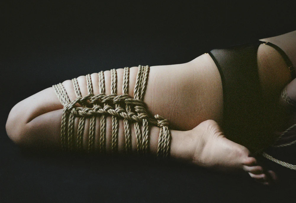 shibari art