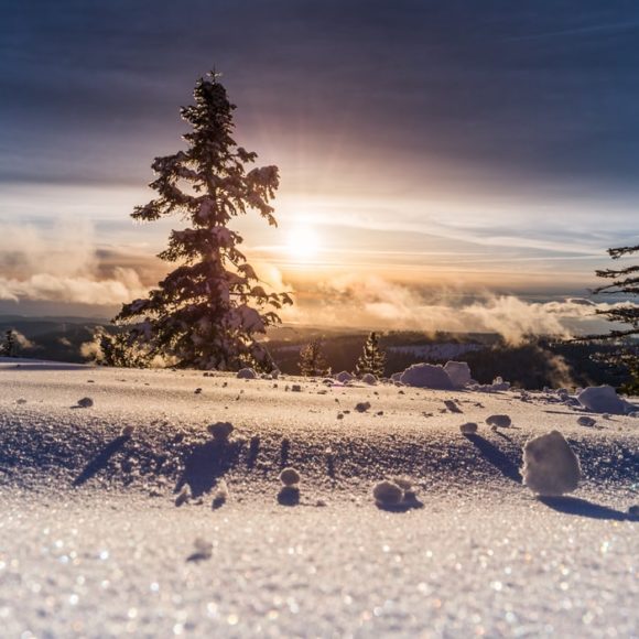 Winter solstice nature landscape