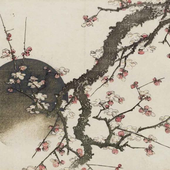 Ume - plum blossom Japanese print