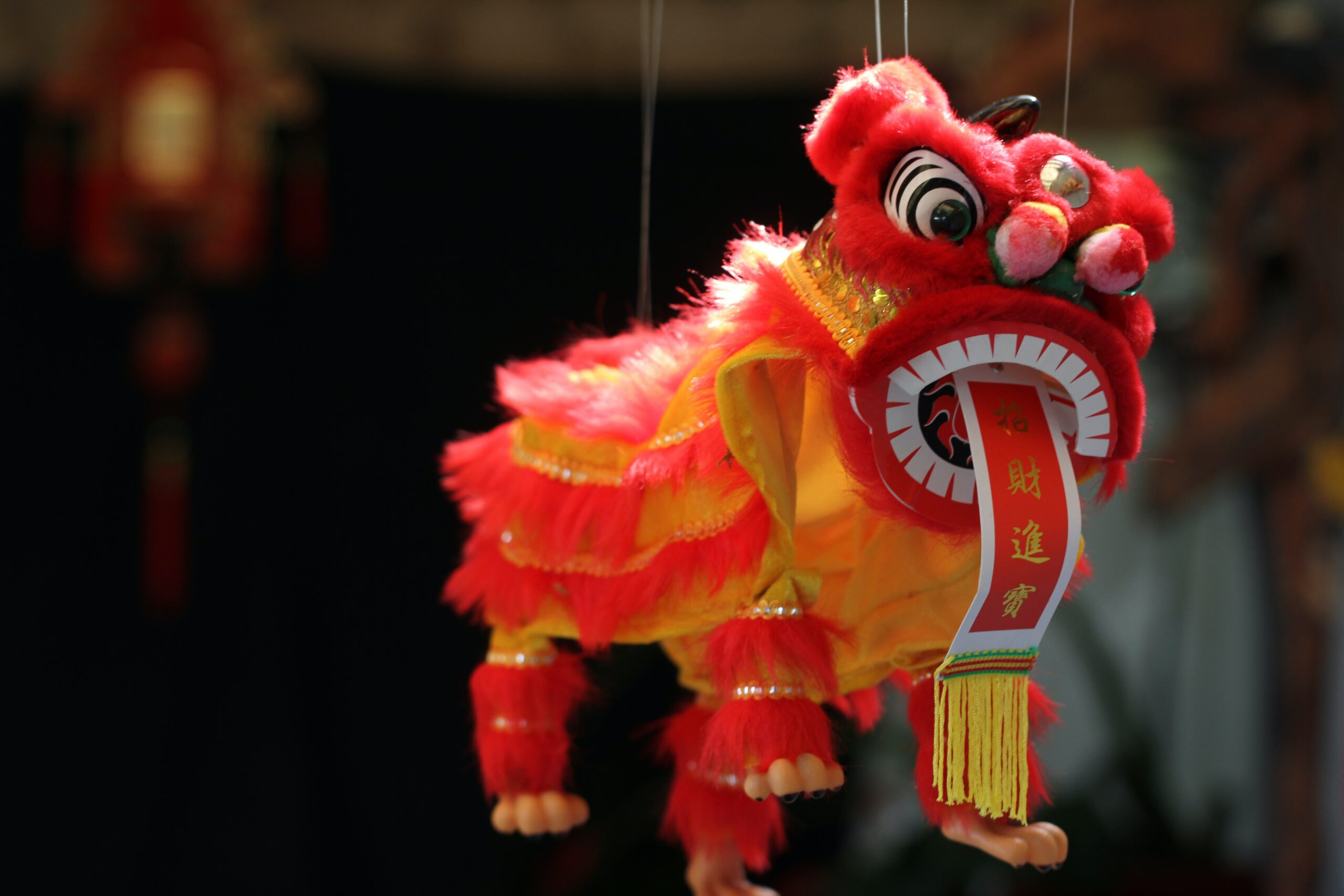 Celebrating Chinese New Year and Culture