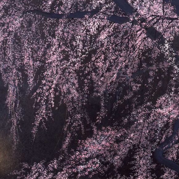 Japanese art - sakura, cherry blossom