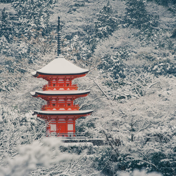 Japanese cold winter