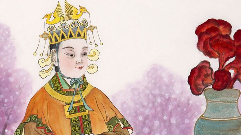 The Inspiring Women of China’s Political Arena