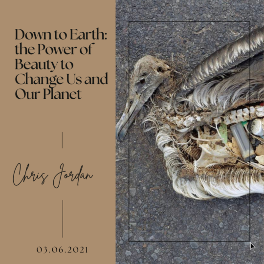 Down to Earth- the Power of Beauty to Change Us and Our Planet