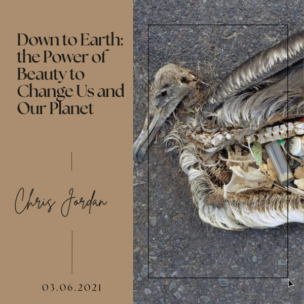 Down to Earth- the Power of Beauty to Change Us and Our Planet